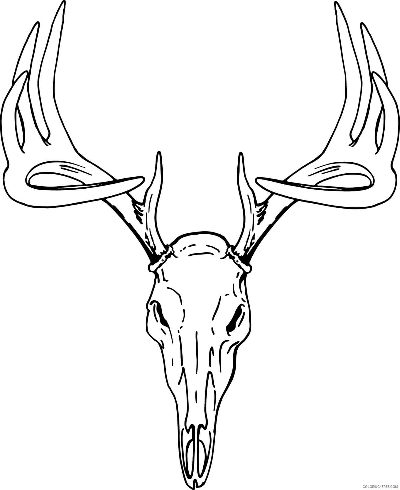 Dibujo de Ciervo Del Cráneo para Colorear y Imprimir