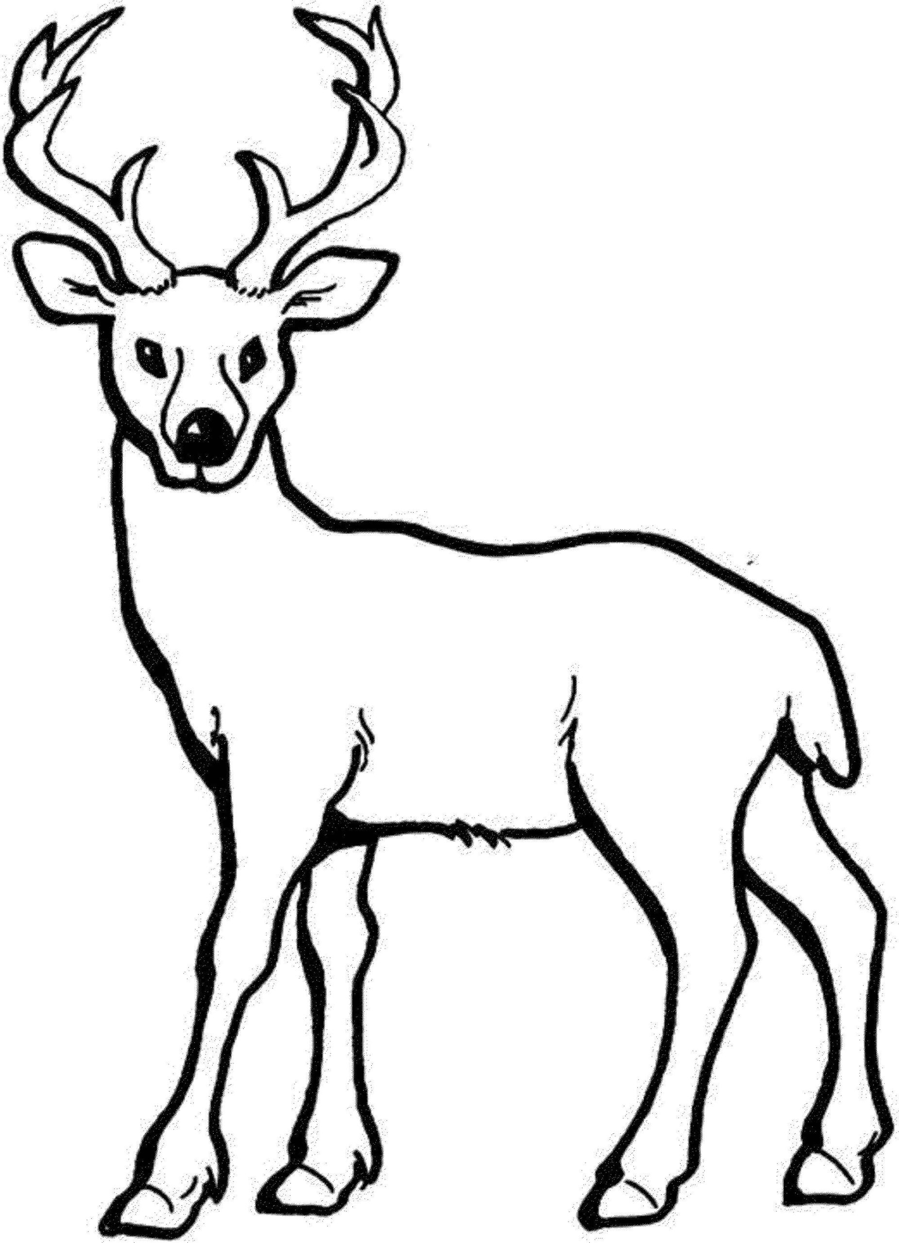 Dibujo de Ciervo Simple Scaled para Colorear y Imprimir