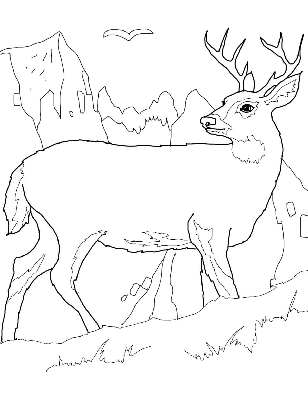 Dibujo de Ciervos Caminando para Colorear y Imprimir