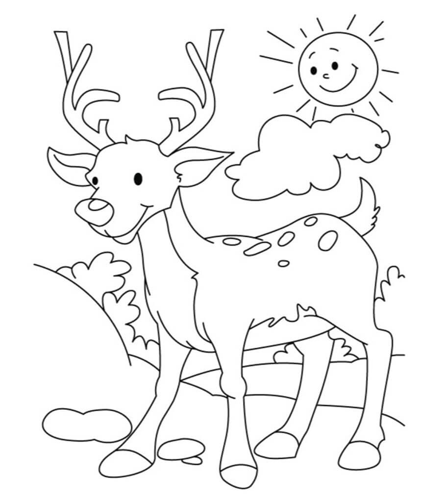 Dibujo de Ciervos de Dibujos Animados para Colorear y Imprimir