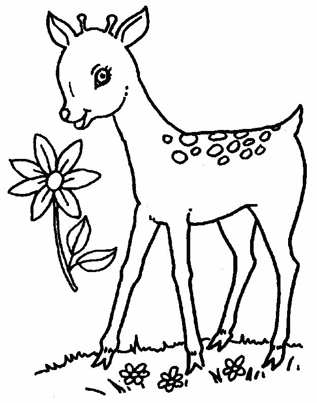 Dibujo de Ciervos y Flor para Colorear y Imprimir