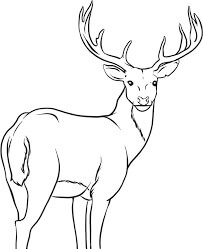 Dibujo de Gran Ciervo para Colorear y Imprimir