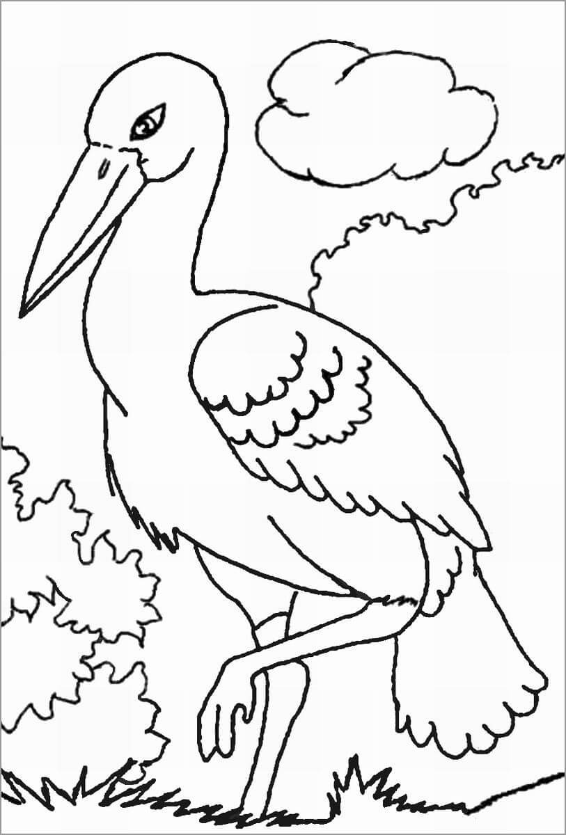 Dibujo de Cigüeña Fresca para Colorear y Imprimir