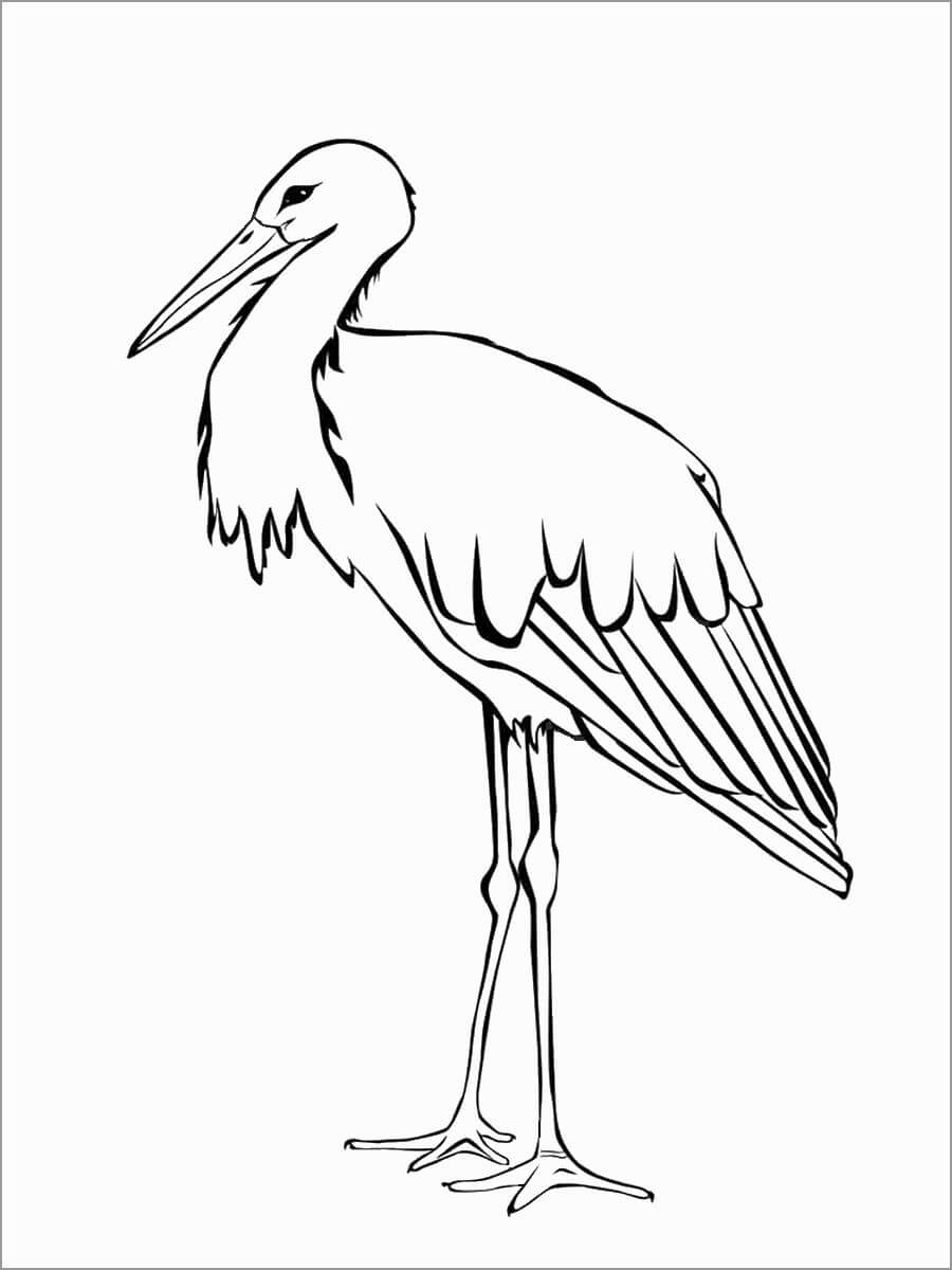 Dibujo de Cigüeña Impresionante para Colorear y Imprimir
