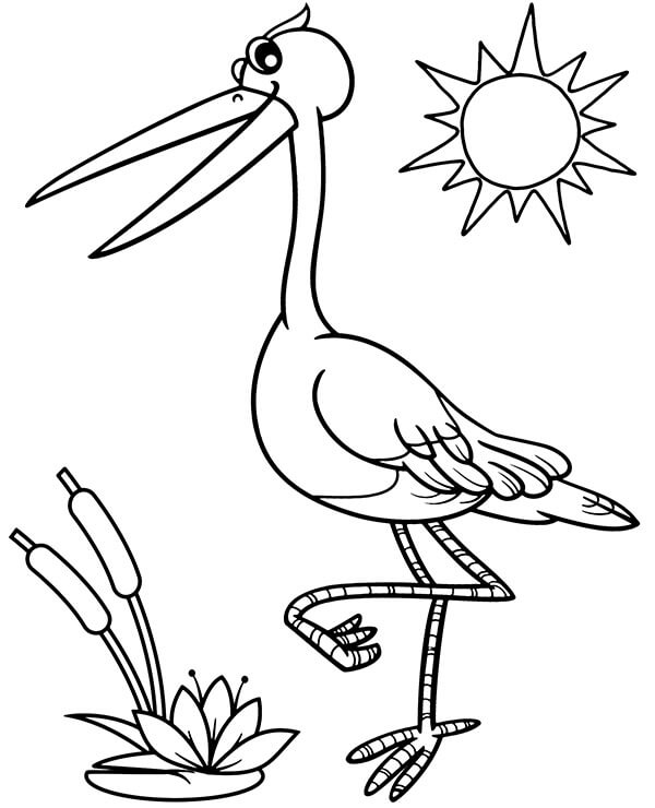 Dibujo de Cigüeña Increíble para Colorear y Imprimir