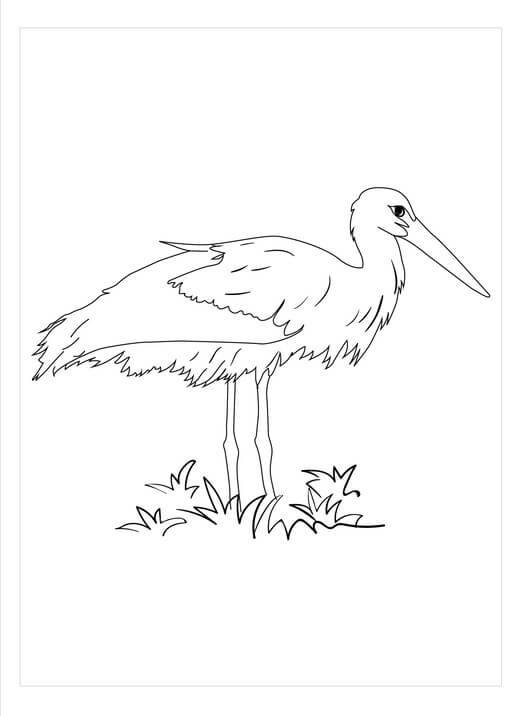 Dibujo de Cigüeña Perfecta para Colorear y Imprimir
