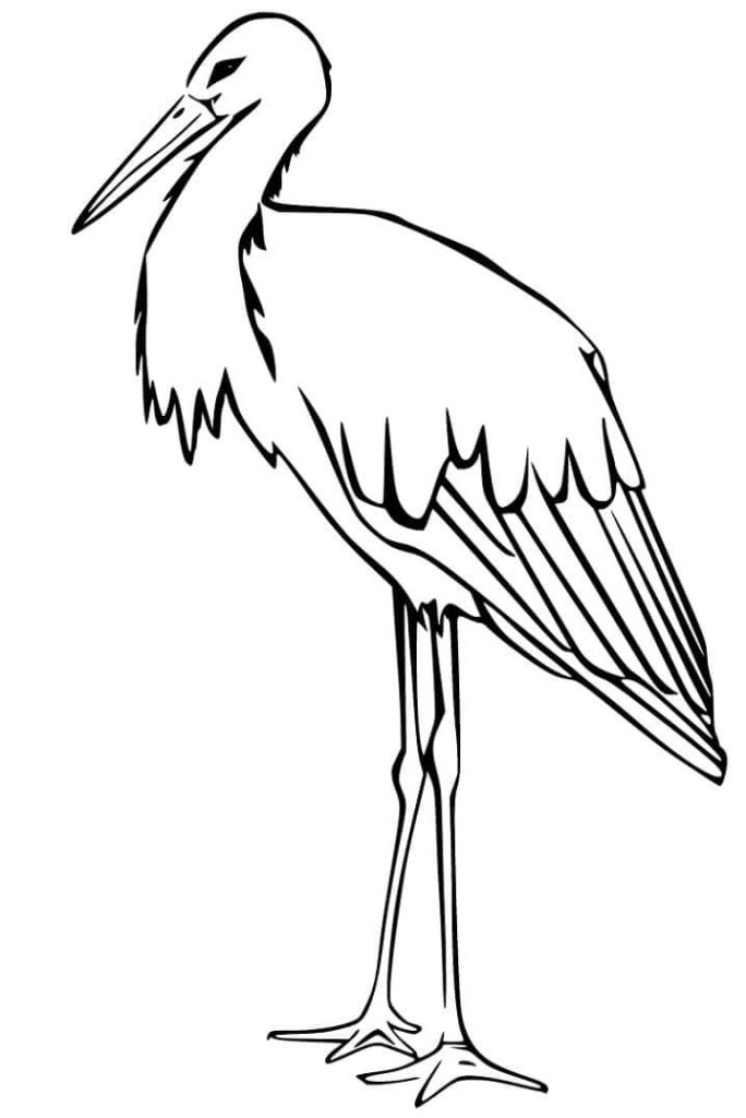 Dibujo de Gran Cigüeña para Colorear y Imprimir