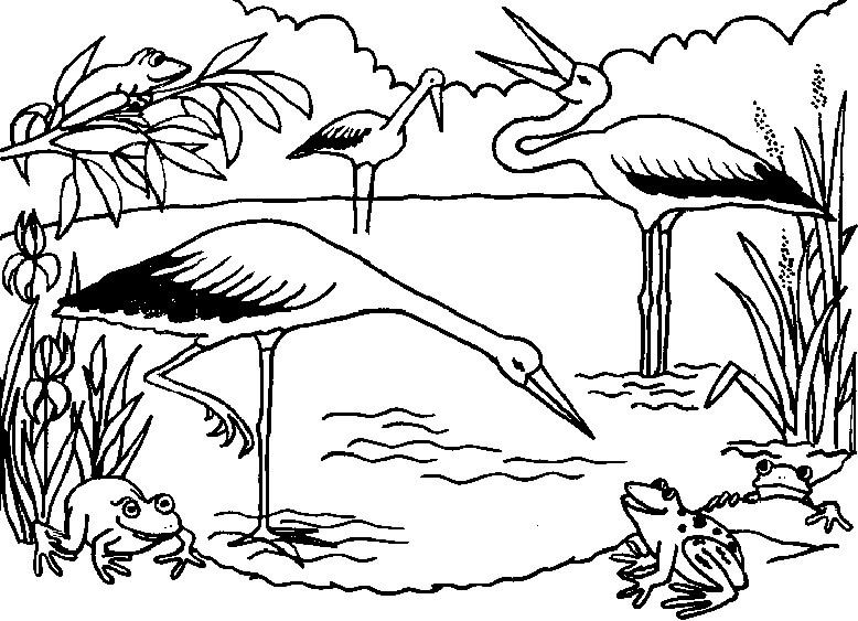 Dibujo de Tres Cigüeñas para Colorear y Imprimir