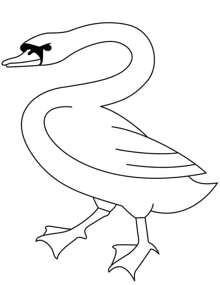 Dibujo de Cisne Caminando para Colorear y Imprimir