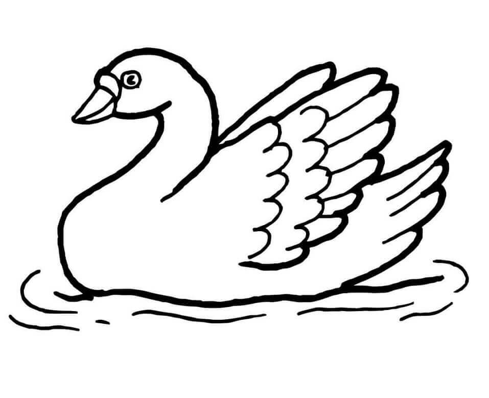 Dibujo de Cisne En El Agua para Colorear y Imprimir