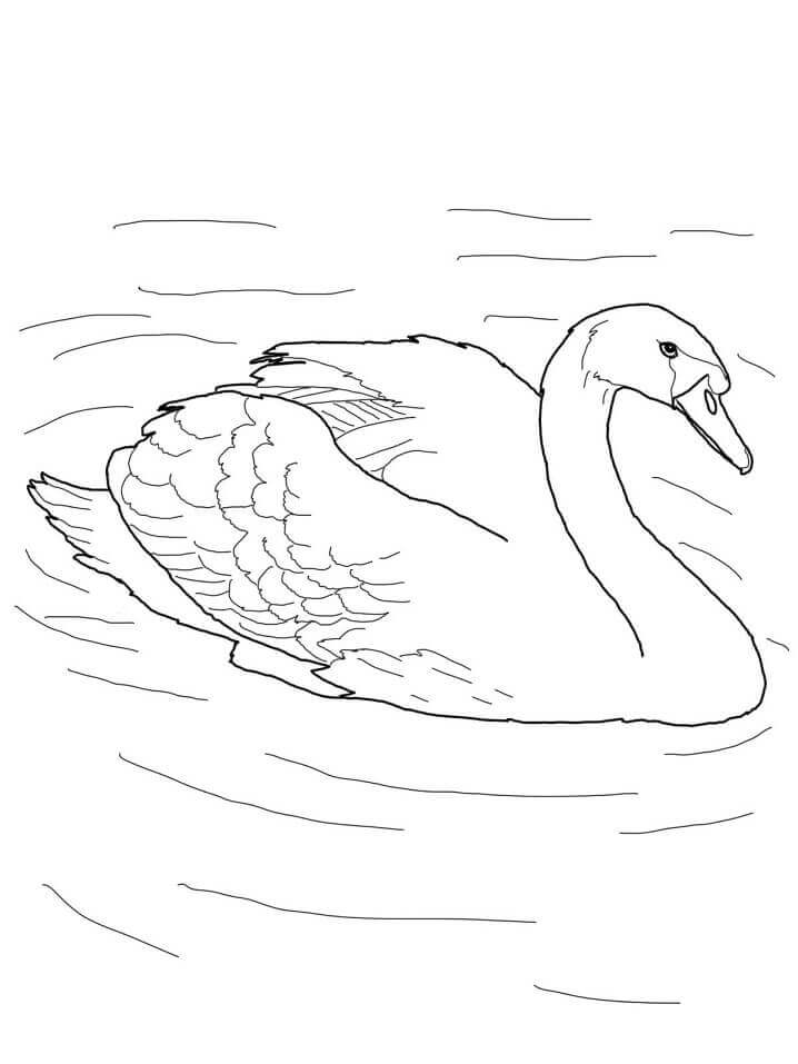 Dibujo de Cisne Mudo En Un Estanque para Colorear y Imprimir