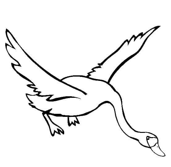 Dibujo de Cisne Volando para Colorear y Imprimir