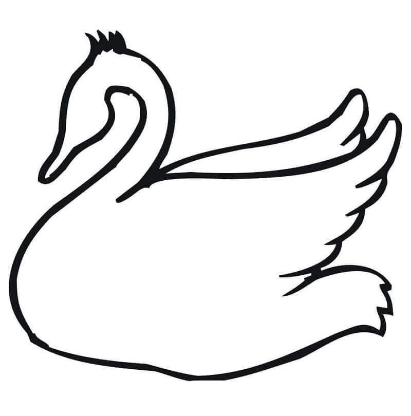 Dibujo de Esquema de Cisne para Colorear y Imprimir