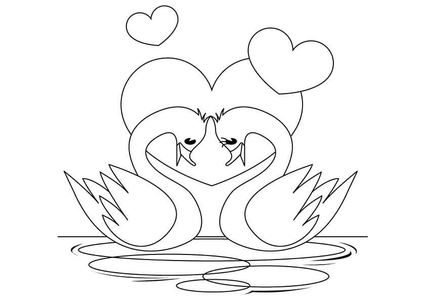 Dibujo de Pareja de Cisnes para Colorear y Imprimir