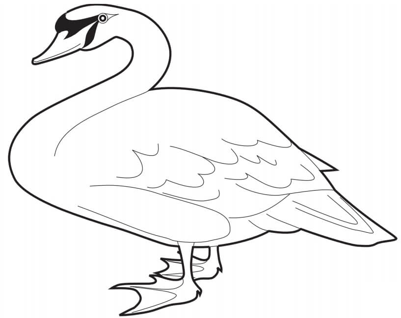 Dibujo de Un Cisne Mudo para Colorear y Imprimir