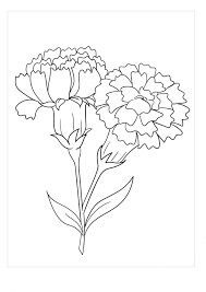 Dibujo de Clavel Basíco para Colorear y Imprimir