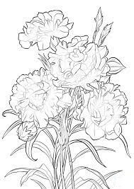 Dibujo de Clavel Escarlata para Colorear y Imprimir