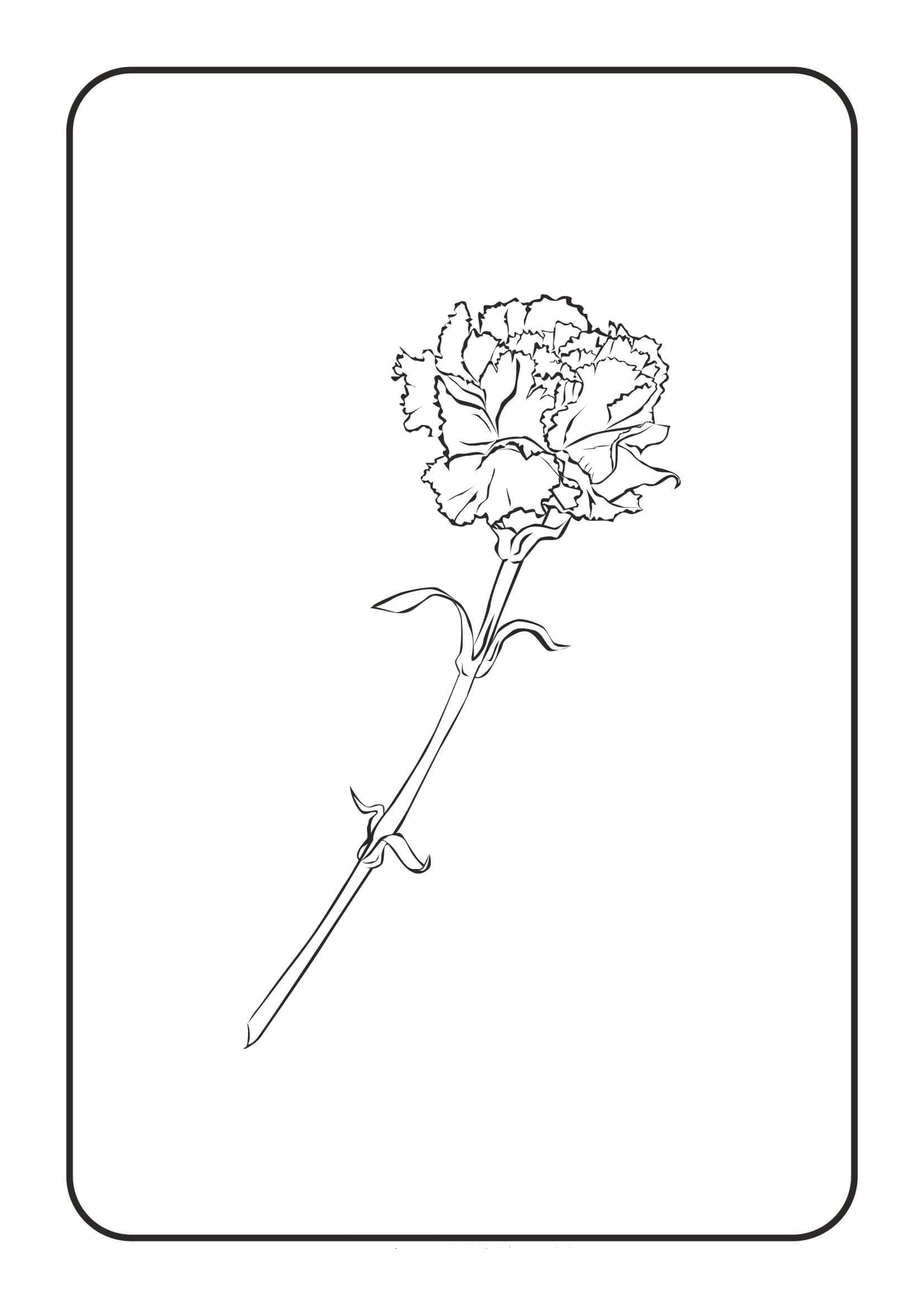 Dibujo de Clavel Kawaii para Colorear y Imprimir