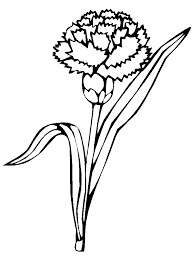 Dibujo de Clavel Perfecto para Colorear y Imprimir