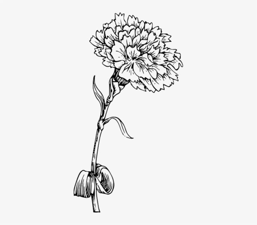 Dibujo de Dibujo de Flor de Clavel para Colorear y Imprimir