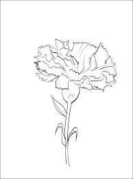 Dibujo de Hermoso Clavel para Colorear y Imprimir