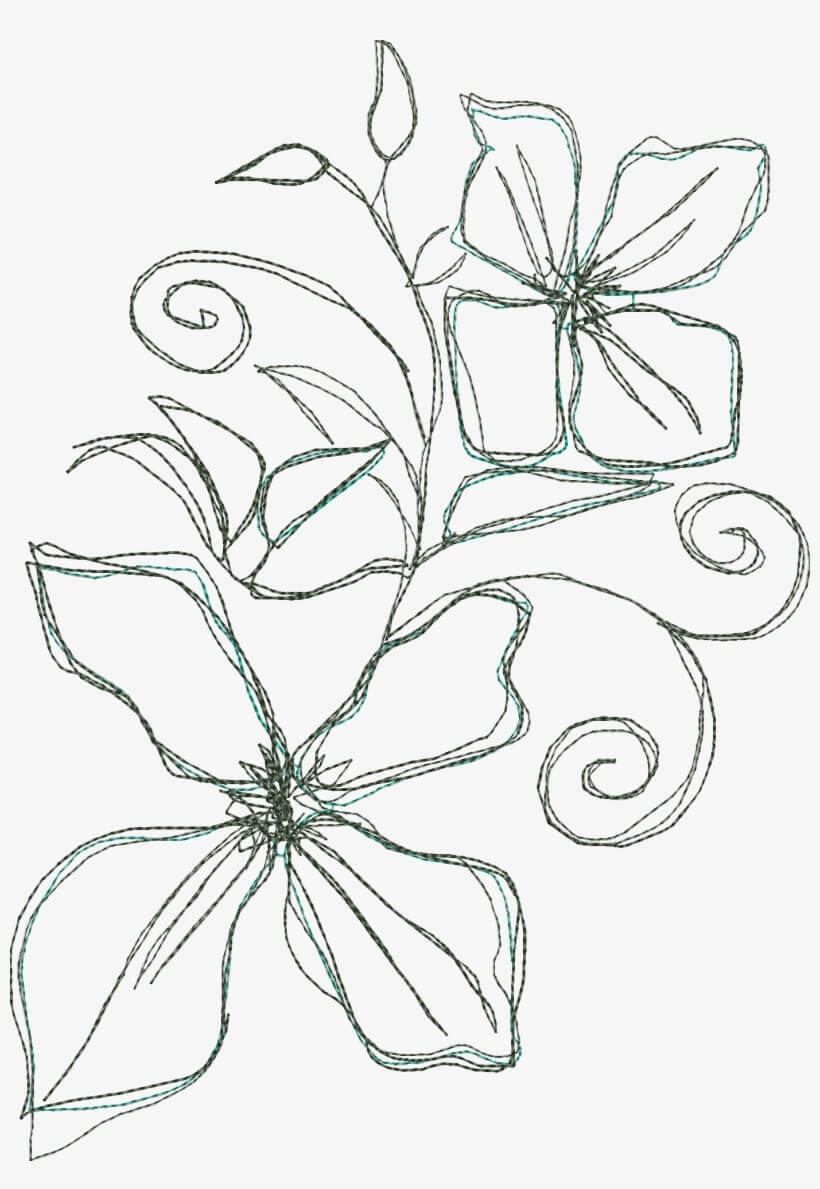 Dibujo de Clematis Botánico para Colorear y Imprimir