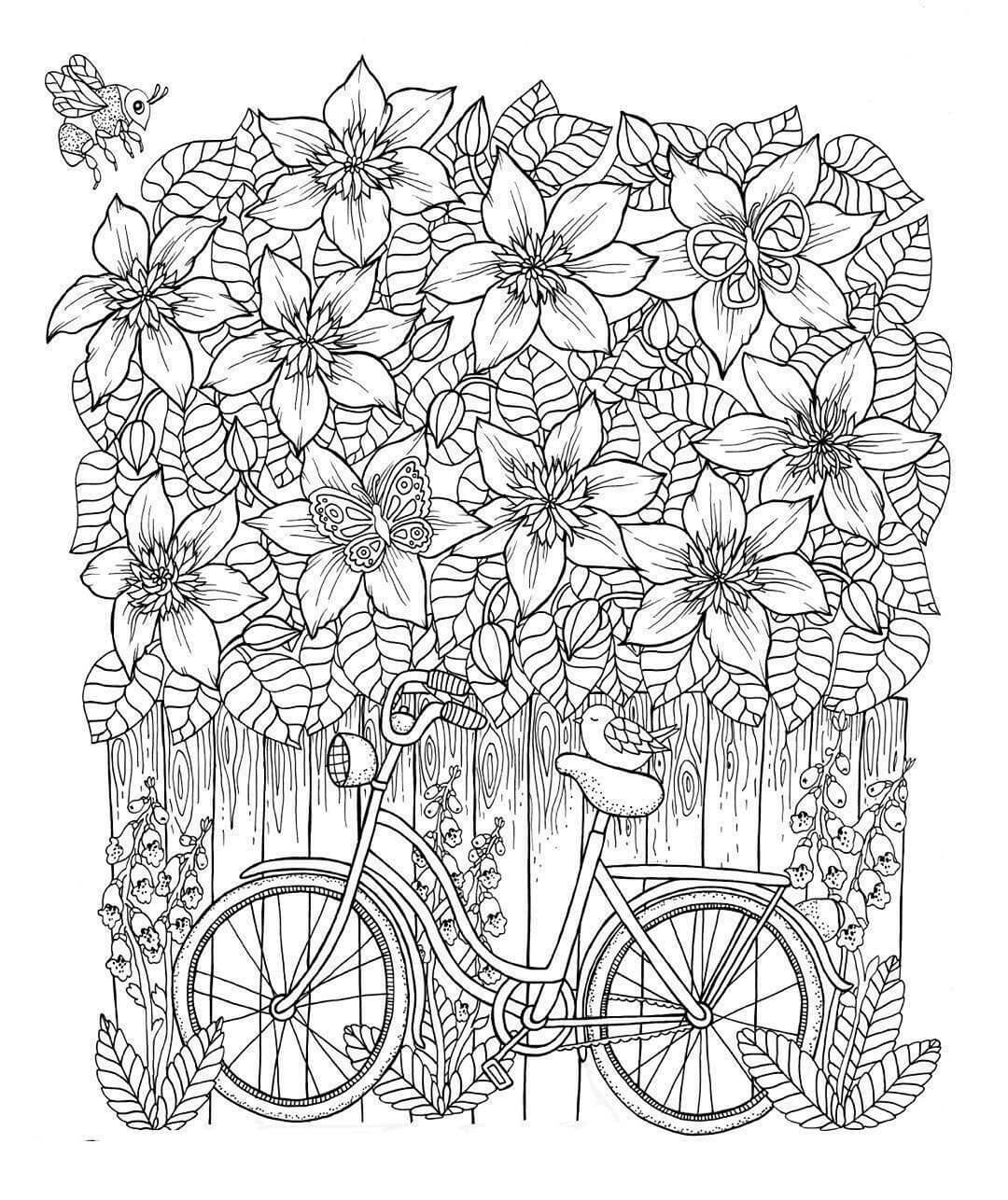 Dibujo de Clematis y Bicicleta para Colorear y Imprimir