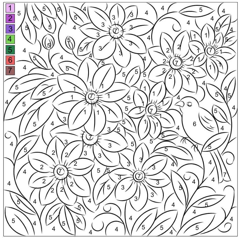 Dibujo de Color de Clemátide por Número para Colorear y Imprimir
