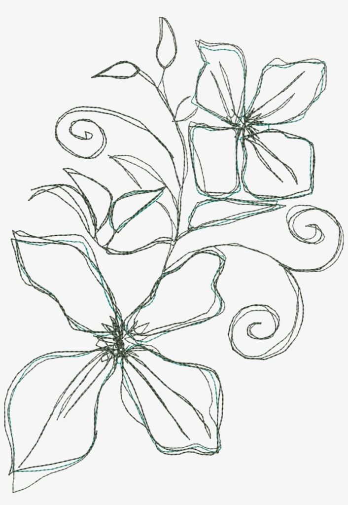 Dibujo de Dibujo Clematis para Colorear y Imprimir
