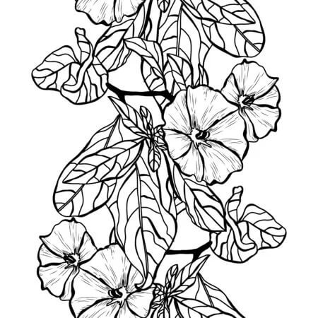Dibujo de Increíble Clemátide para Colorear y Imprimir
