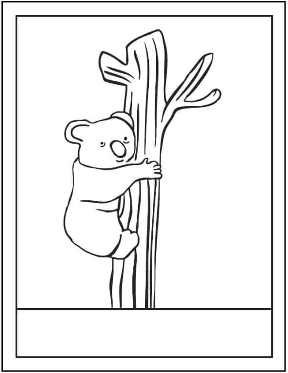 Dibujo de Árbol Trepador de Koalas para Colorear y Imprimir