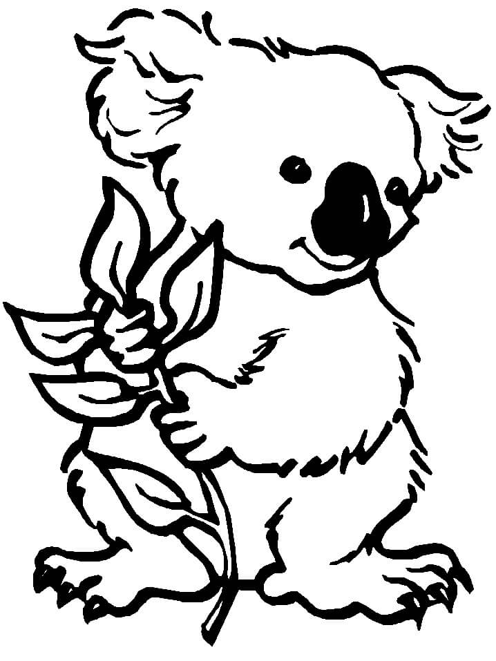 Dibujo de Bebé Koala para Colorear y Imprimir