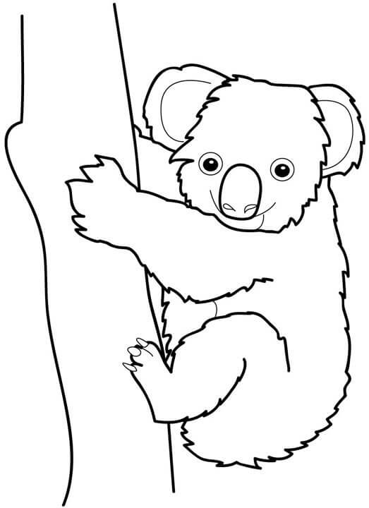 Dibujo de Buen Koala Con Árbol para Colorear y Imprimir