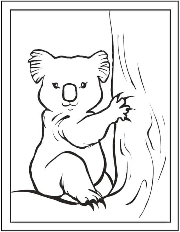 Dibujo de Gran Koala para Colorear y Imprimir