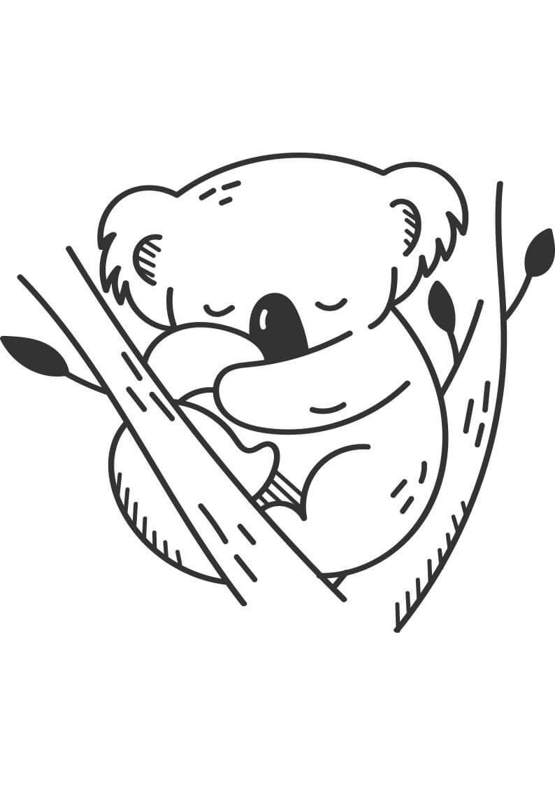 Dibujo de Koala Durmiendo para Colorear y Imprimir