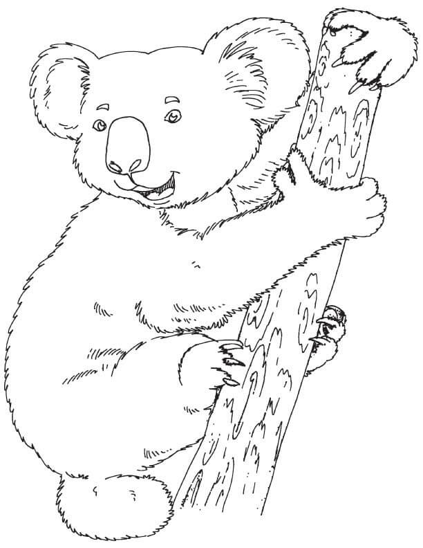 Dibujo de Koala Normal para Colorear y Imprimir