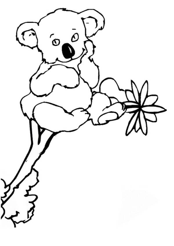 Dibujo de Koala Sentado En El Árbol para Colorear y Imprimir