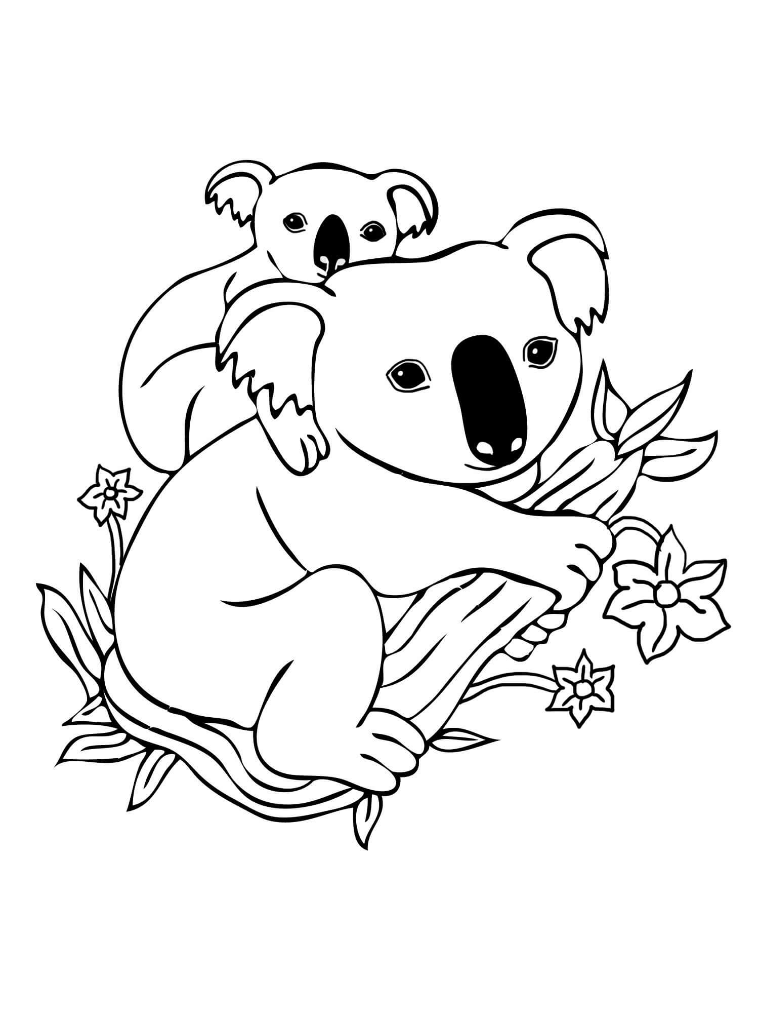 Dibujo de Madre Koala Con Bebé Koala En Rama Árbol para Colorear y Imprimir