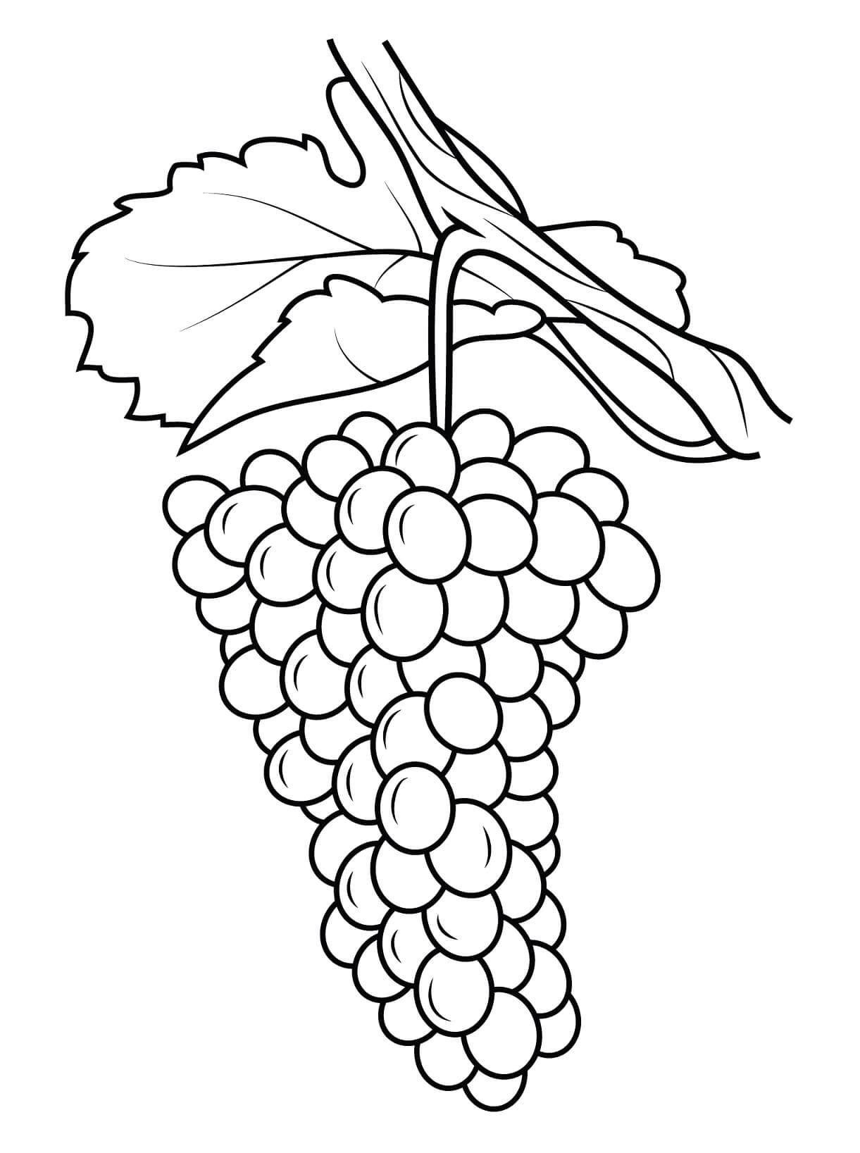 dibujo uvas asombrosas para colorear