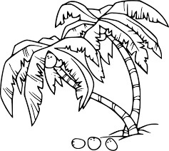 dibujo dos cocoteros basicos para colorear