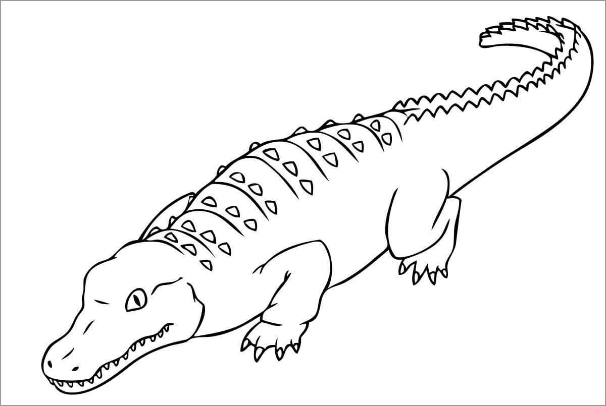 dibujo cocodrilo asombroso para imprimir y colorear