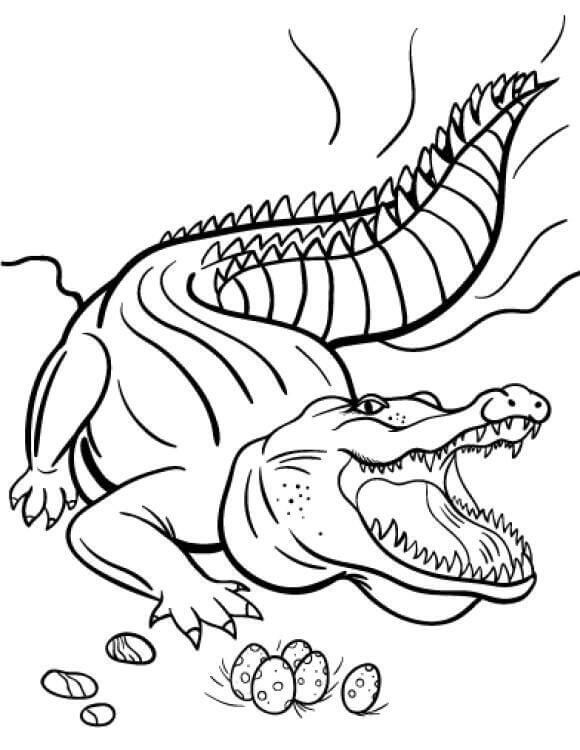 dibujo cocodrilo con huevos para imprimir y colorear
