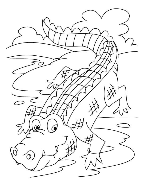 dibujo cocodrilo de pie sobre la hierba para imprimir y colorear