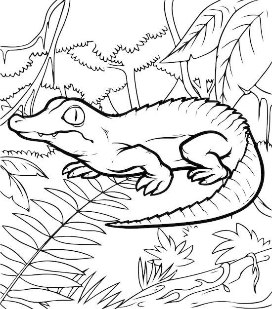 dibujo cocodrilo durmiendo para imprimir y colorear