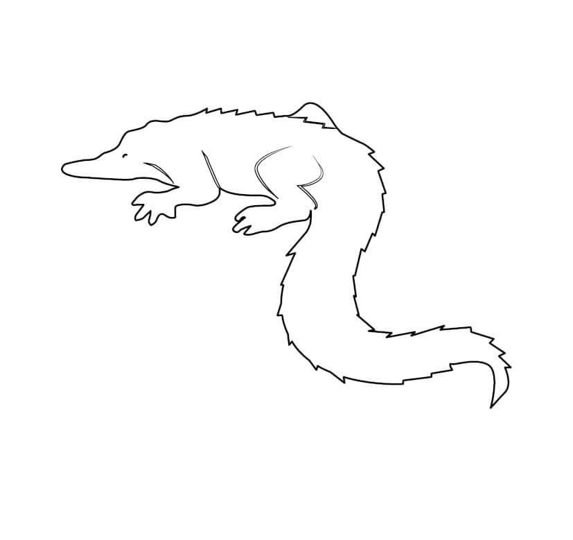 dibujo cocodrilo enojado para imprimir y colorear