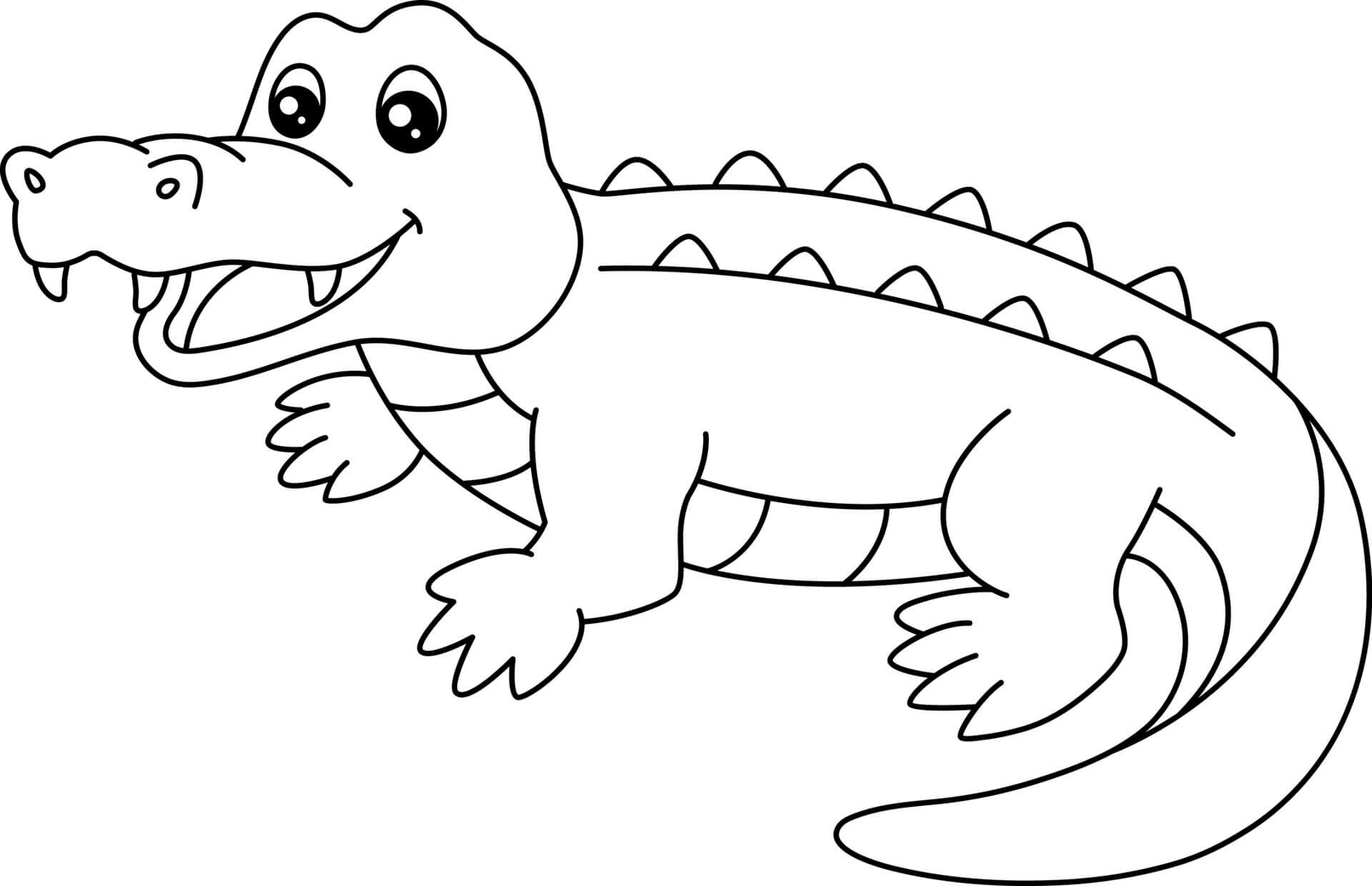 dibujo cocodrilo imagenes gratis para imprimir y colorear