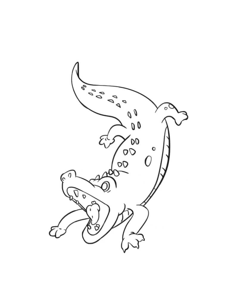 dibujo cocodrilo imprimible para imprimir y colorear