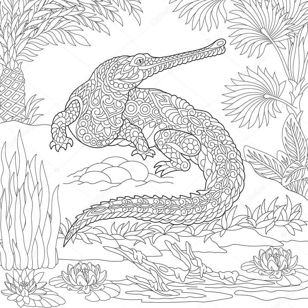 dibujo cocodrilo lindo para imprimir y colorear