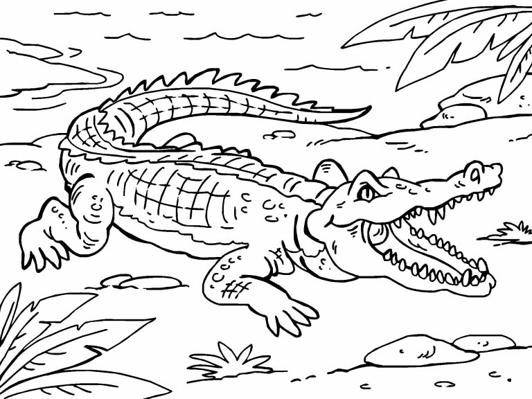 dibujo cocodrilo monstruo para imprimir y colorear
