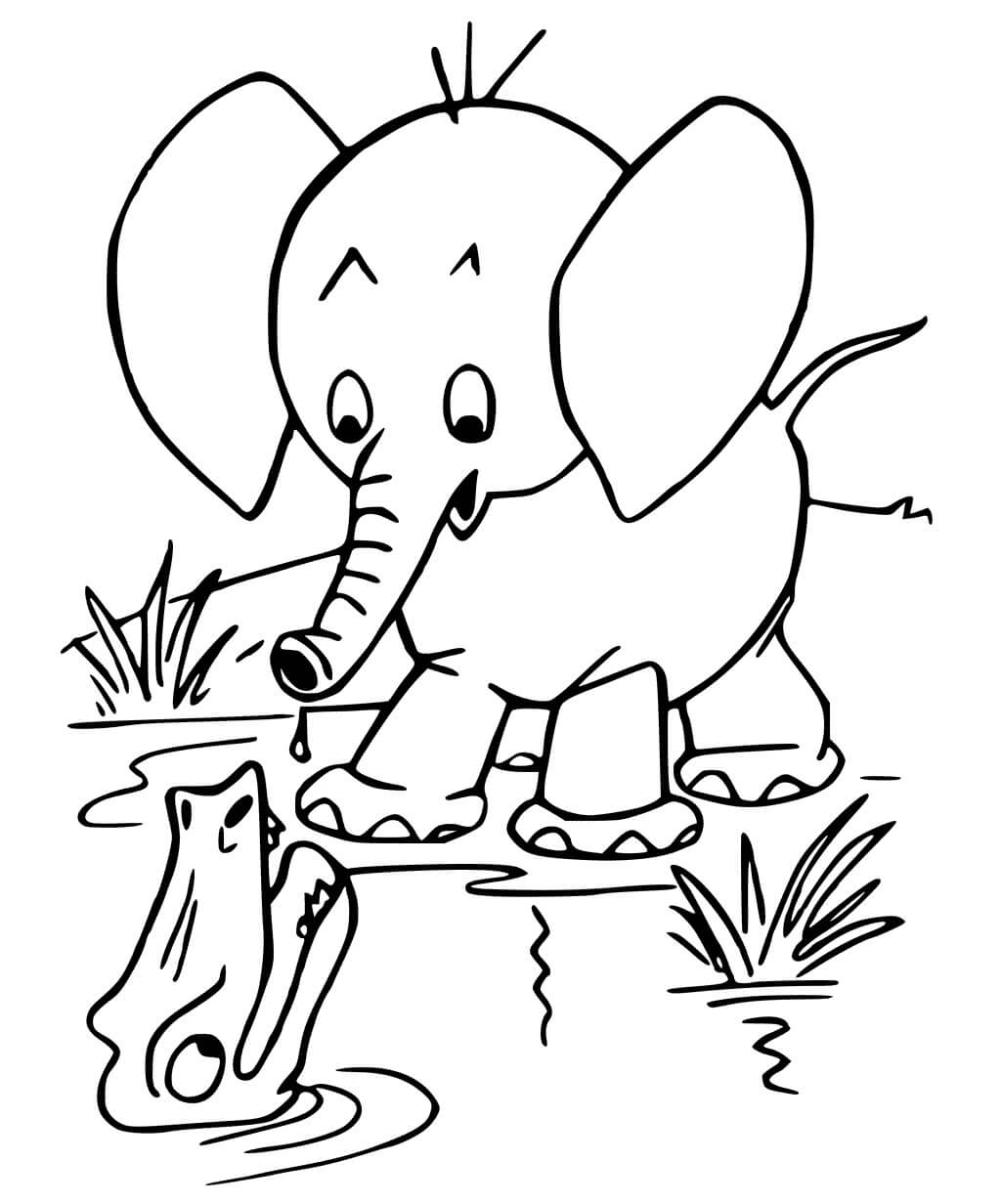 dibujo cocodrilo toca la flauta para imprimir y colorear